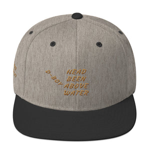 Snapback Hat HBAW